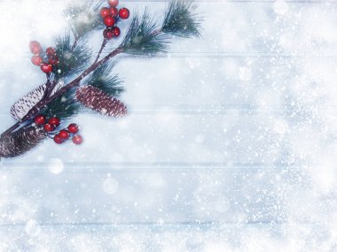 köknar dalları konileri ve kar ile kış arka plan