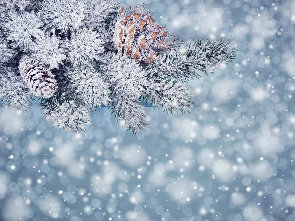 Fundal de iarnă cu ramuri de brad conuri și zăpadă — Fotografie, imagine de stoc