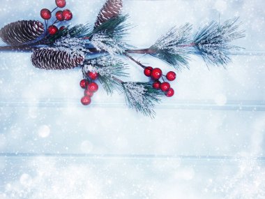 köknar dalları konileri ve kar ile kış arka plan