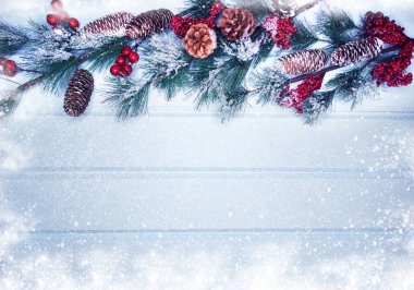 köknar dalları konileri ve kar ile kış arka plan