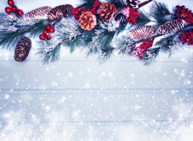 köknar dalları konileri ve kar ile kış arka plan