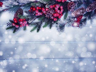 köknar dalları konileri ve kar ile kış arka plan