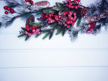 köknar dalları konileri ve kar ile kış arka plan