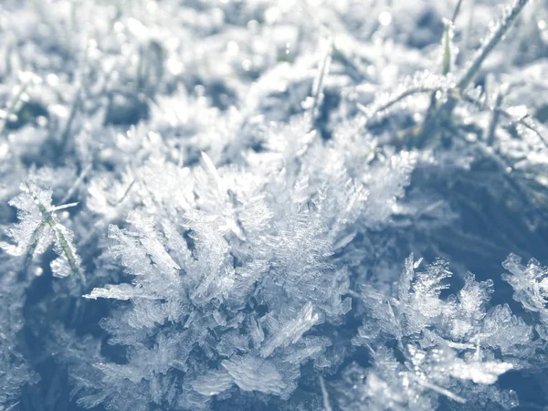 Fond d'hiver avec des motifs de cristaux de flocons de neige et de neige sur — Photo