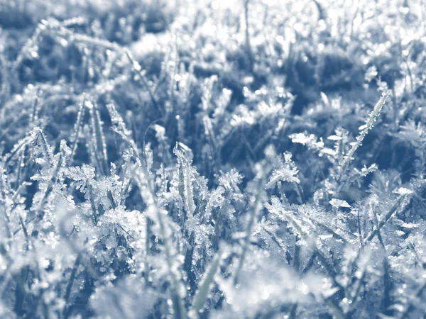 Winterachtergrond met sneeuwvlokken kristallen patronen en sneeuw op — Stockfoto