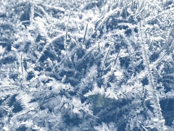 Fundo de inverno com padrões de cristais de flocos de neve e neve em — Fotografia de Stock