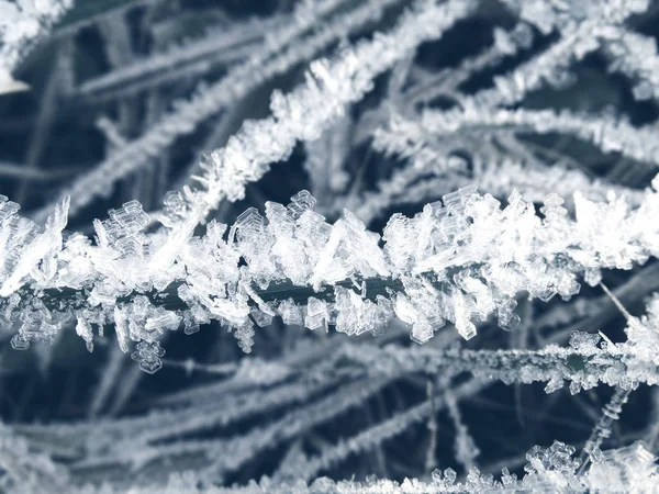 Fondo de invierno con patrones de cristales de copos de nieve y nieve en —  Fotos de Stock