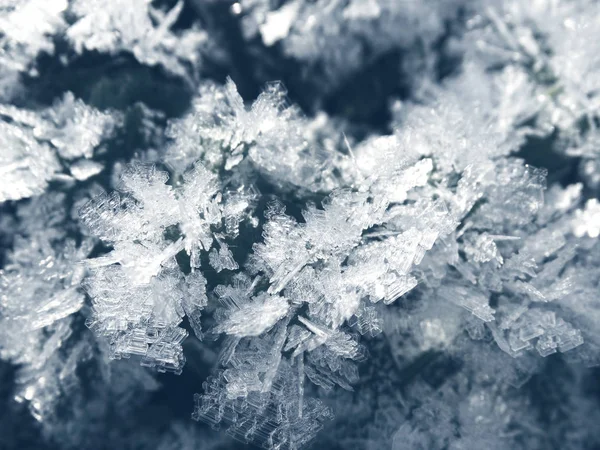 Fondo de invierno con patrones de cristales de copos de nieve y nieve en —  Fotos de Stock