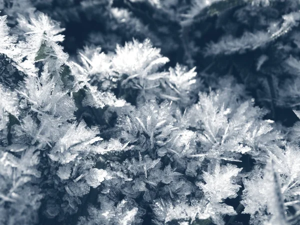 Fondo de invierno con patrones de cristales de copos de nieve y nieve en —  Fotos de Stock