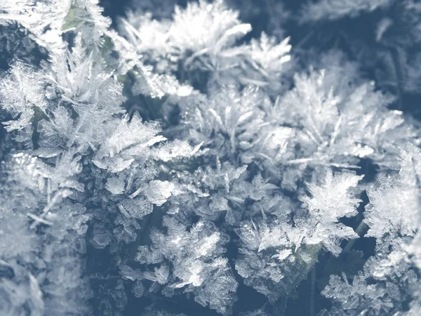 Vinter bakgrund med snöflingor kristaller mönster och snö på — Stockfoto