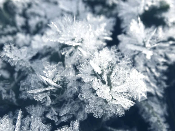 Fondo de invierno con patrones de cristales de copos de nieve y nieve en — Foto de Stock