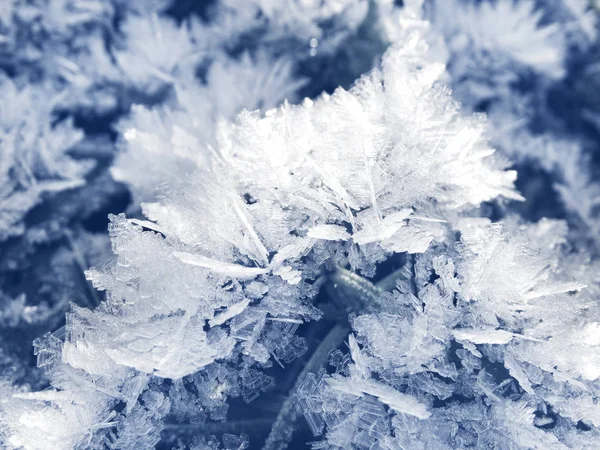 Fond d'hiver avec des motifs de cristaux de flocons de neige et de neige sur — Photo