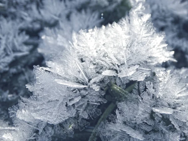 Fundo de inverno com padrões de cristais de flocos de neve e neve em — Fotografia de Stock