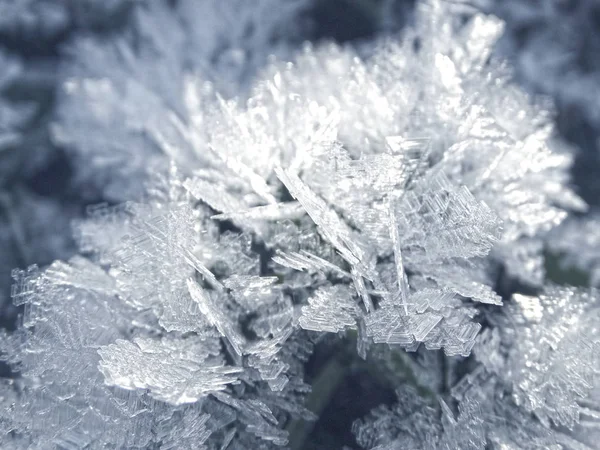 Fondo de invierno con patrones de cristales de copos de nieve y nieve en — Foto de Stock