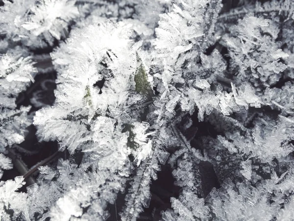 Zimní pozadí se sněhové vločky krystaly vzory a sníh na — Stock fotografie