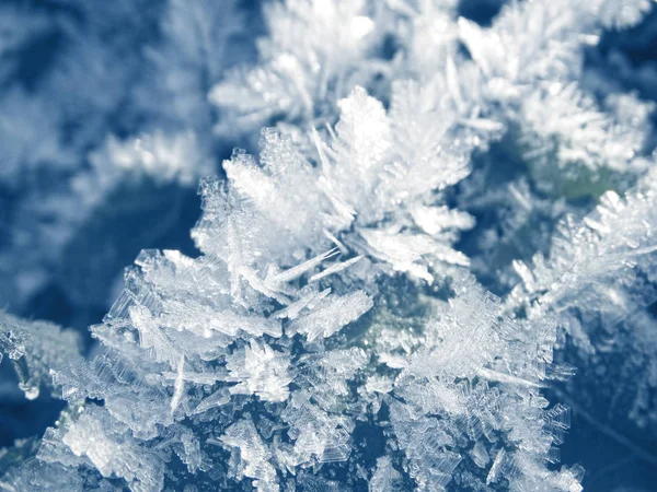 Sfondo invernale con cristalli di fiocchi di neve modelli e neve su — Foto Stock