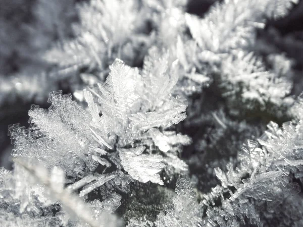Χειμερινό φόντο με νιφάδες χιονιού σχέδια κρυστάλλων και το χιόνι για — Φωτογραφία Αρχείου