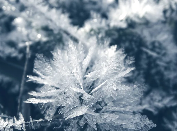 Fondo de invierno con patrones de cristales de copos de nieve y nieve en — Foto de Stock