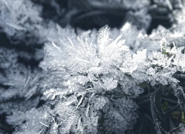 Fondo de invierno con patrones de cristales de copos de nieve y nieve en — Foto de Stock