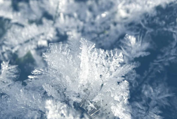 Winterachtergrond met sneeuwvlokken kristallen patronen en sneeuw op — Stockfoto