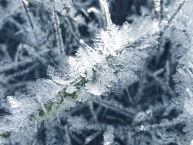 Kar tanelerinin, kristallerin ve karın olduğu kış arkaplanı 