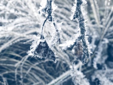 Kar tanelerinin, kristallerin ve karın olduğu kış arkaplanı 