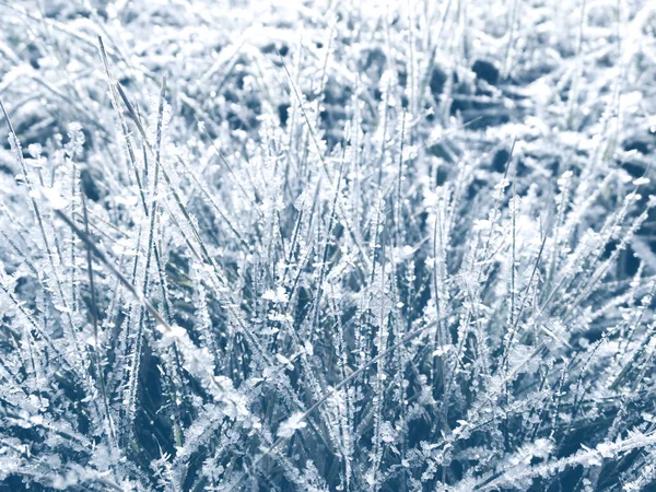 Fondo de invierno con patrones de cristales de copos de nieve y nieve en — Foto de Stock