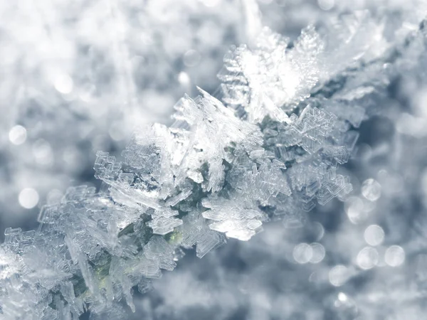 Téli háttér hópelyhek kristályok minták és hó — Stock Fotó