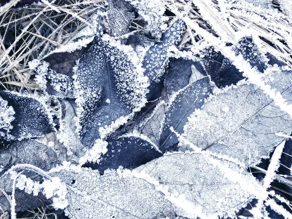 Fundo de inverno com padrões de cristais de flocos de neve e neve em — Fotografia de Stock