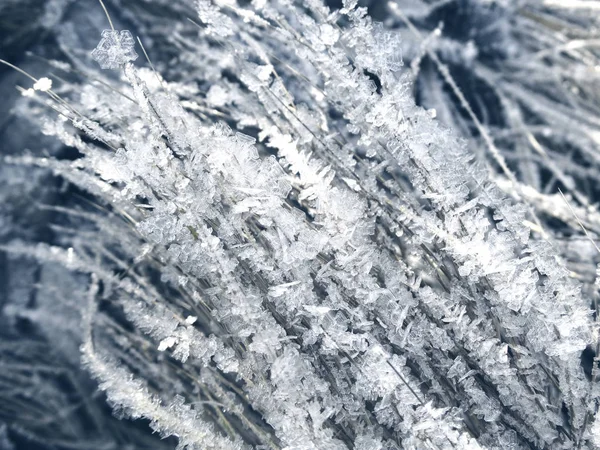 Fond d'hiver avec des motifs de cristaux de flocons de neige et de neige sur — Photo