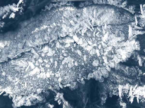 Χειμερινό φόντο με νιφάδες χιονιού σχέδια κρυστάλλων και το χιόνι για — Φωτογραφία Αρχείου