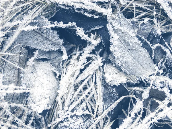 雪の結晶模様と雪の冬の背景 — ストック写真