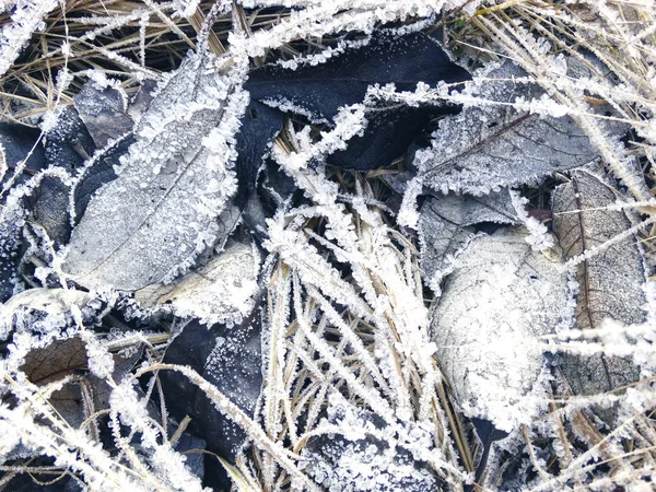 Fundo de inverno com padrões de cristais de flocos de neve e neve em — Fotografia de Stock