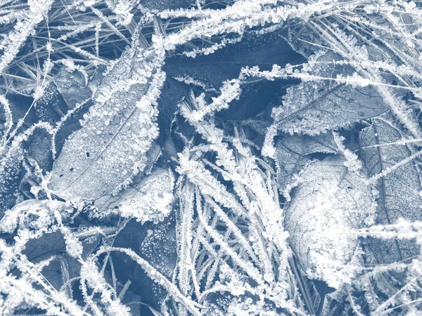 Fondo de invierno con patrones de cristales de copos de nieve y nieve en — Foto de Stock