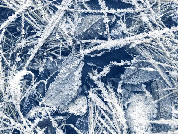 雪の結晶模様と雪の冬の背景 — ストック写真