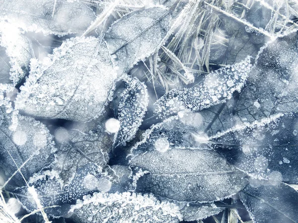 有雪花晶体图案和雪的冬季背景 — 图库照片