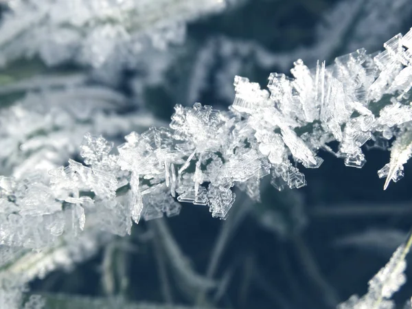 Sfondo invernale con cristalli di fiocchi di neve modelli e neve su — Foto Stock