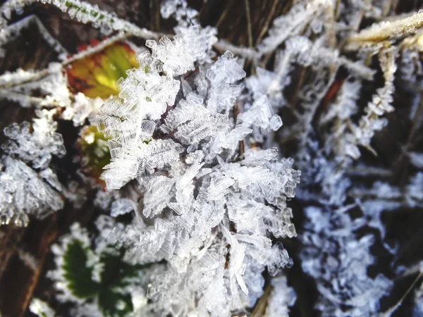 Fondo de invierno con patrones de cristales de copos de nieve y nieve en — Foto de Stock