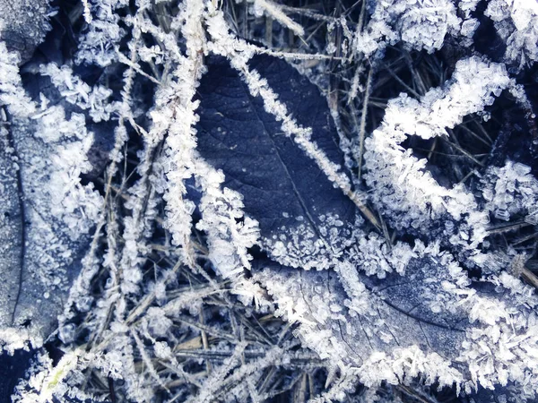 Fundo de inverno com padrões de cristais de flocos de neve e neve em — Fotografia de Stock