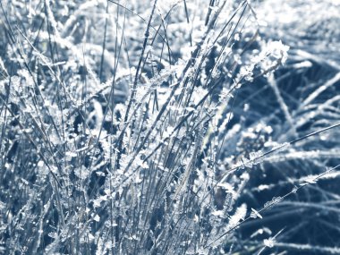 Kar tanelerinin, kristallerin ve karın olduğu kış arkaplanı 