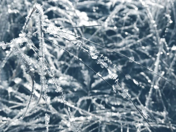 Fondo de invierno con patrones de cristales de copos de nieve y nieve en — Foto de Stock