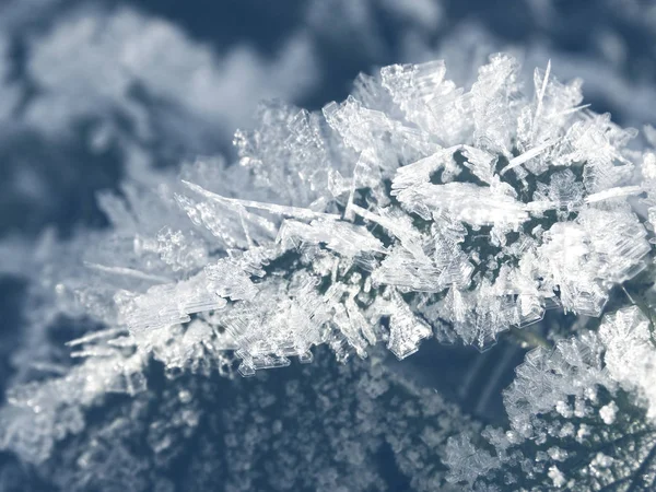 Fond d'hiver avec des motifs de cristaux de flocons de neige et de neige sur — Photo