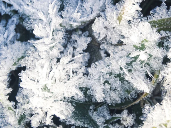 Fondo de invierno con patrones de cristales de copos de nieve y nieve en — Foto de Stock