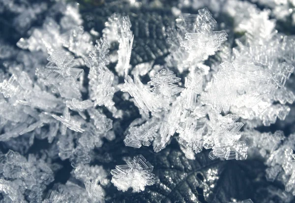 Fondo de invierno con patrones de cristales de copos de nieve y nieve en —  Fotos de Stock