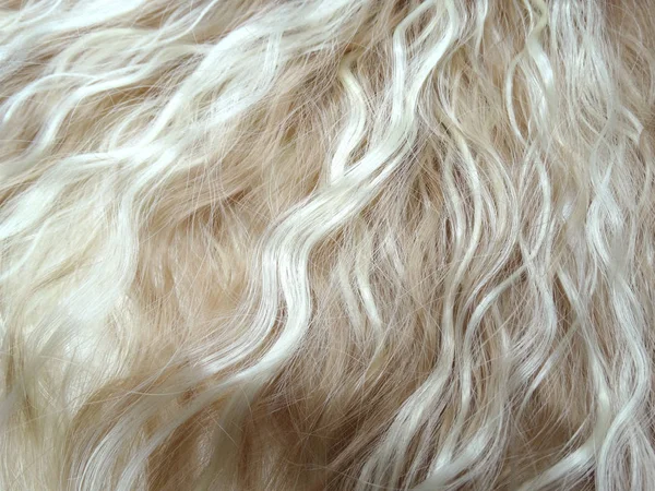 Подсветка волос текстура моды воздержание фон — стоковое фото