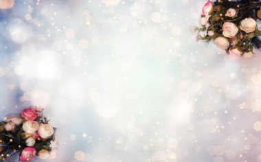 bahar arkaplanı çiçek açan şakayıklar ve soyut bokeh