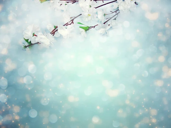 春の背景開花白桜の木と抽象 — ストック写真