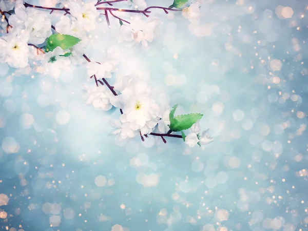 Frühling Hintergrund blühenden weißen Kirschblüten Baum und abstra — Stockfoto
