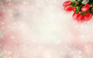 bahar arkaplanı çiçek açan laleler ve soyut bokeh