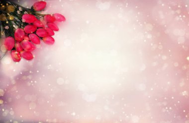 bahar arkaplanı çiçek açan laleler ve soyut bokeh